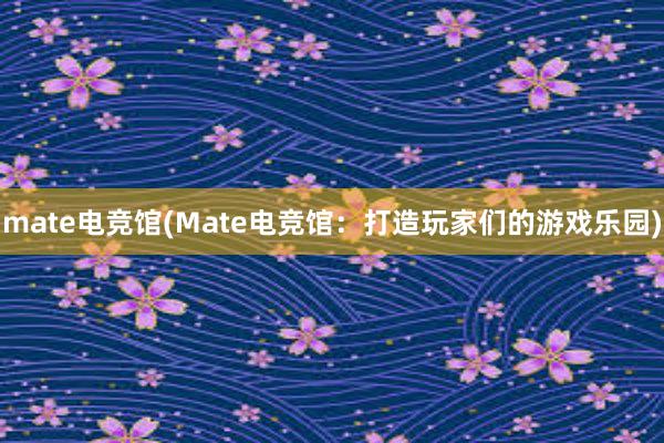 mate电竞馆(Mate电竞馆：打造玩家们的游戏乐园)