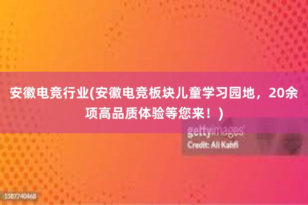 安徽电竞行业(安徽电竞板块儿童学习园地，20余项高品质体验等您来！)