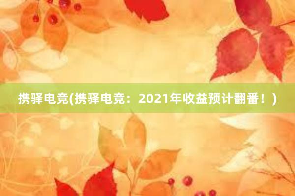 携驿电竞(携驿电竞：2021年收益预计翻番！)