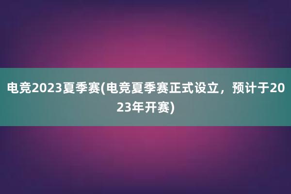 电竞2023夏季赛(电竞夏季赛正式设立，预计于2023年开赛)