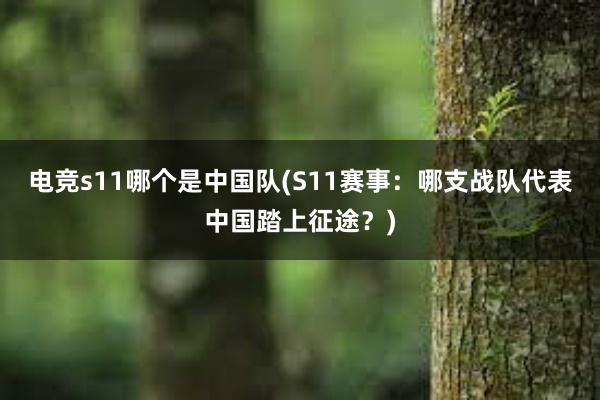 电竞s11哪个是中国队(S11赛事：哪支战队代表中国踏上征途？)