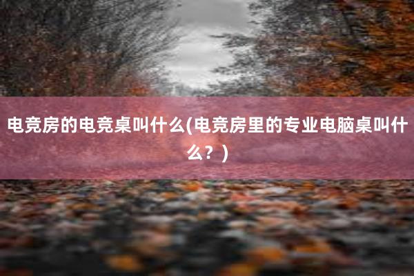 电竞房的电竞桌叫什么(电竞房里的专业电脑桌叫什么？)