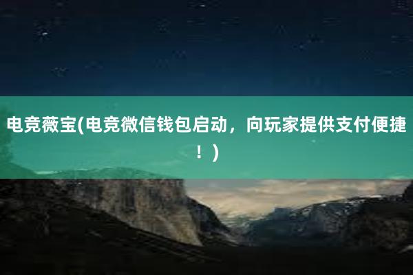 电竞薇宝(电竞微信钱包启动，向玩家提供支付便捷！)