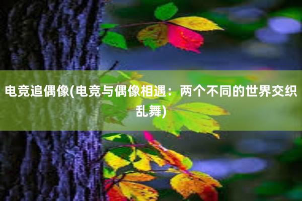 电竞追偶像(电竞与偶像相遇：两个不同的世界交织乱舞)