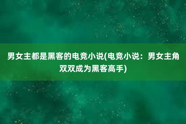 男女主都是黑客的电竞小说(电竞小说：男女主角双双成为黑客高手)