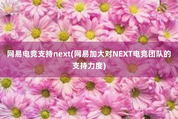 网易电竞支持next(网易加大对NEXT电竞团队的支持力度)