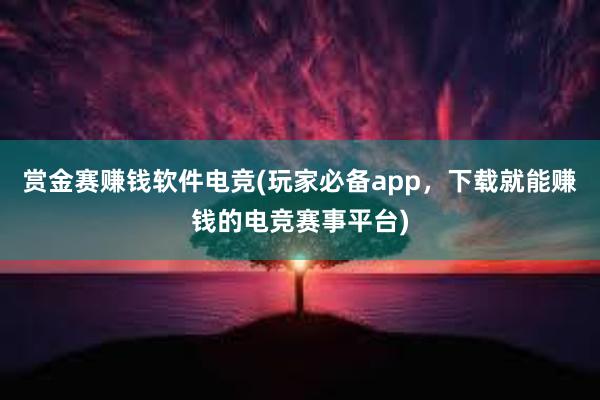 赏金赛赚钱软件电竞(玩家必备app，下载就能赚钱的电竞赛事平台)