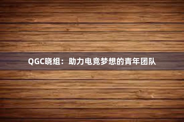 QGC晓组：助力电竞梦想的青年团队