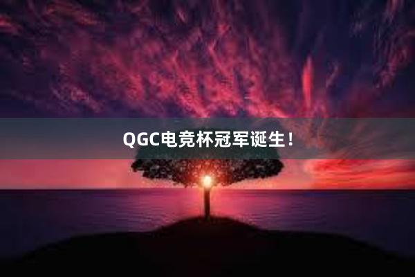 QGC电竞杯冠军诞生！