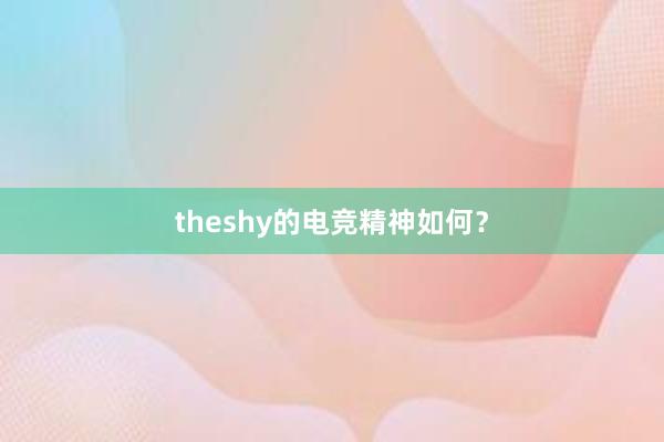 theshy的电竞精神如何？