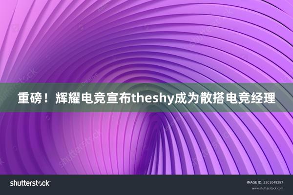 重磅！辉耀电竞宣布theshy成为散搭电竞经理