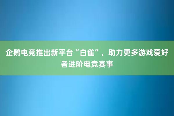 企鹅电竞推出新平台“白雀”，助力更多游戏爱好者进阶电竞赛事