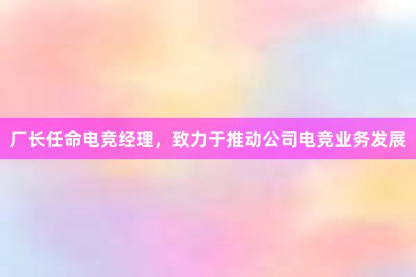 厂长任命电竞经理，致力于推动公司电竞业务发展