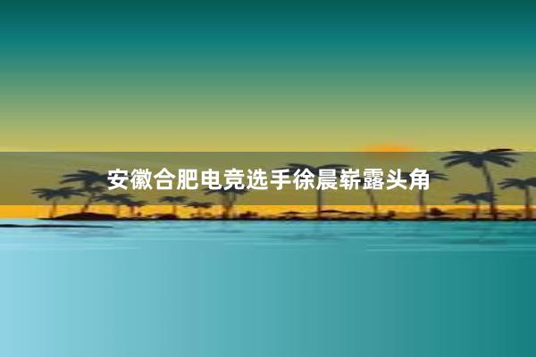 安徽合肥电竞选手徐晨崭露头角