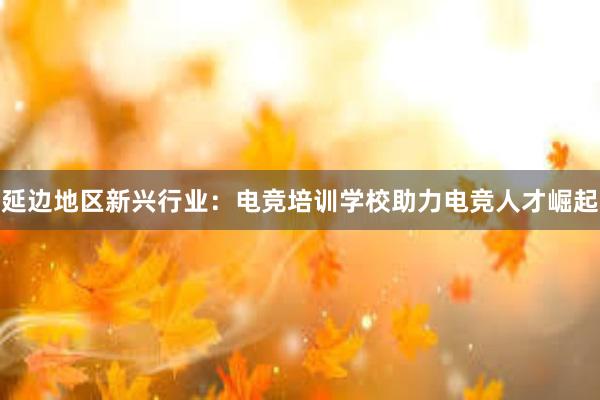 延边地区新兴行业：电竞培训学校助力电竞人才崛起