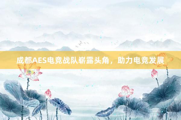 成都AES电竞战队崭露头角，助力电竞发展