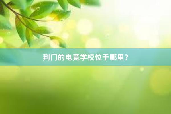 荆门的电竞学校位于哪里？